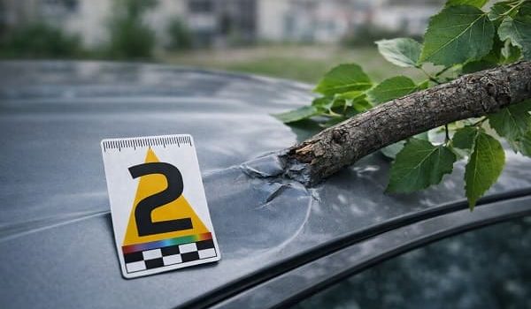 Падение веток дерева на машину_4 (1)